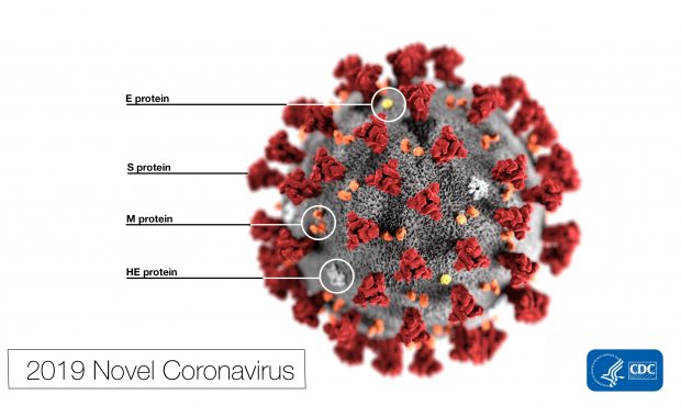 CDC 2019 Novel Coronavirus